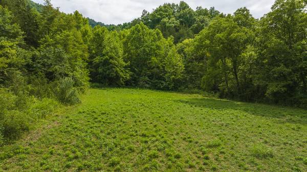 Lot 1 War Creek RD, Eidson, TN 37731