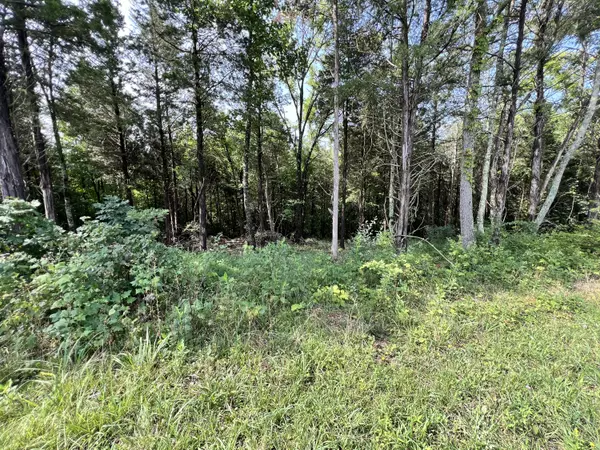 Morristown, TN 37814,Lot 178 Hill Trail DR