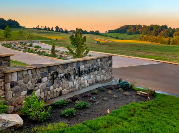 White Pine, TN 37890,Lot 79 Meadow Vista Way