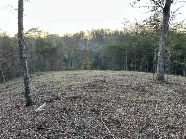 LOT 1 Dandelion DR, Newport, TN 37821