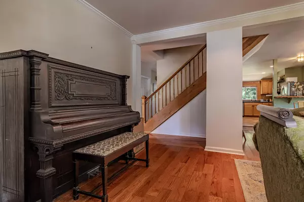 Knoxville, TN 37917,2021 Nadine ST