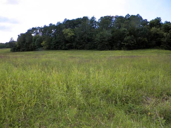 TBD Newport Hwy, Sevierville, TN 37876