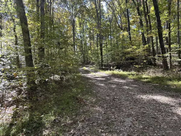 Baneberry, TN 37890,00 Lot 1215 Iron Gate DR