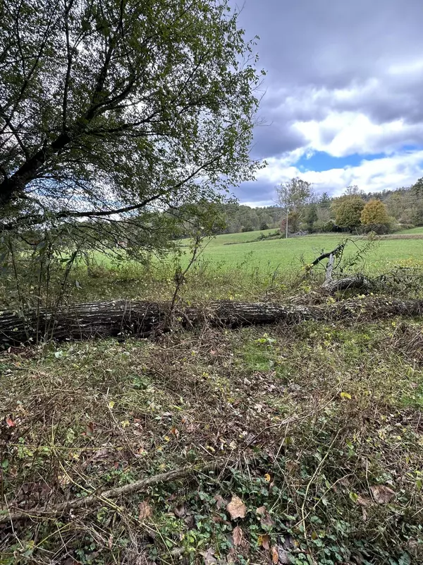 Church Hill, TN 37642,00 Goshen Valley (56 acres) RD