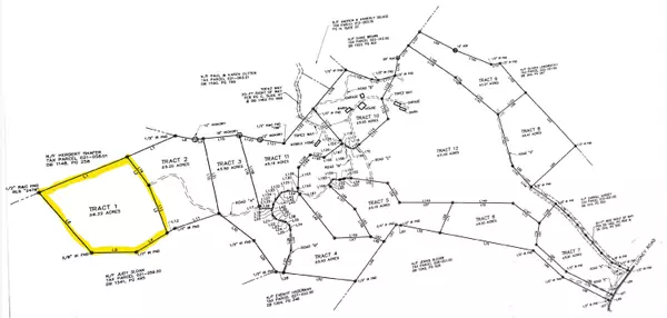 Parrottsville, TN 37843,Tracts 1-3 Topaz WAY