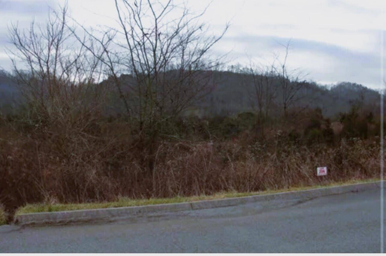 Lot 206 Wedge WAY, Tazewell, TN 37879