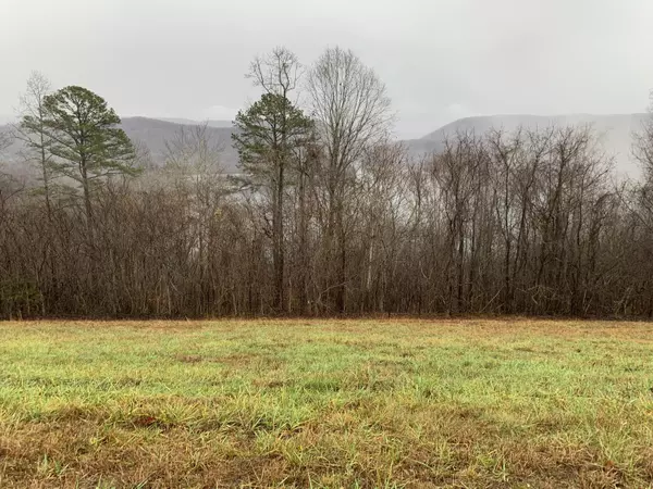 New Tazewell, TN 37825,Lot 321 Sapphire CT