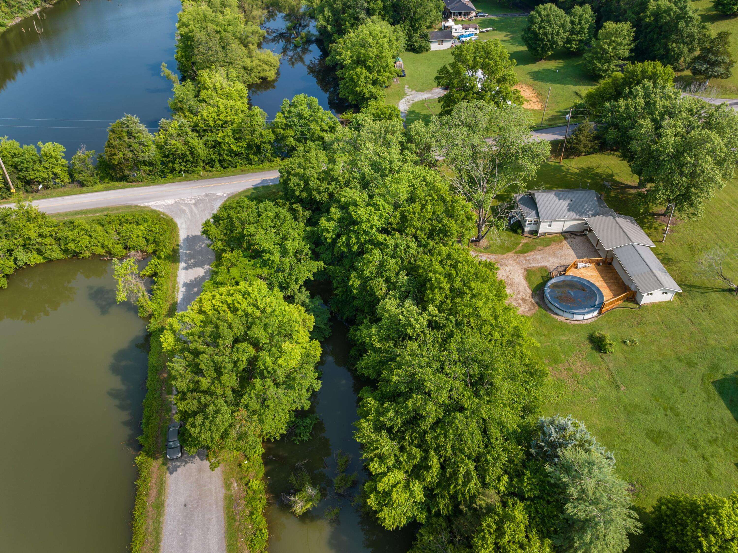 White Pine, TN 37890,3569 Leadvale RD