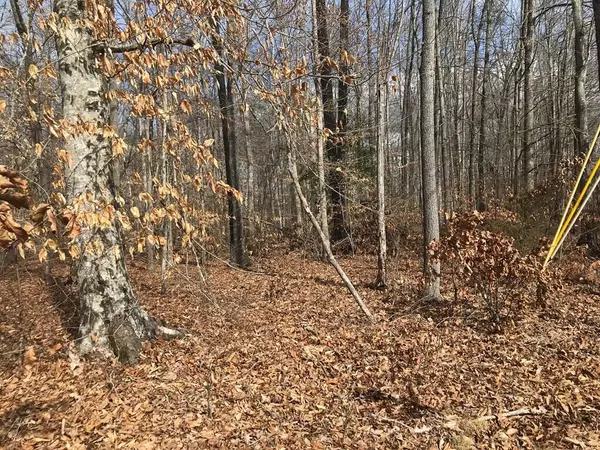 Baneberry, TN 37890,00 Devon Way RD