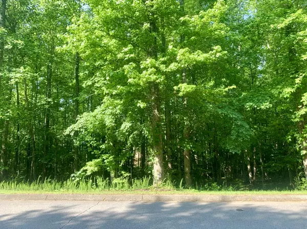 Harriman, TN 37748,Lot 5 Blue Heron DR