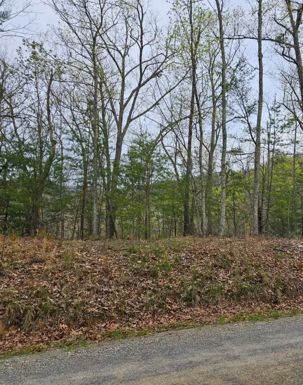 Sevierville, TN 37876,40 Hickory ST