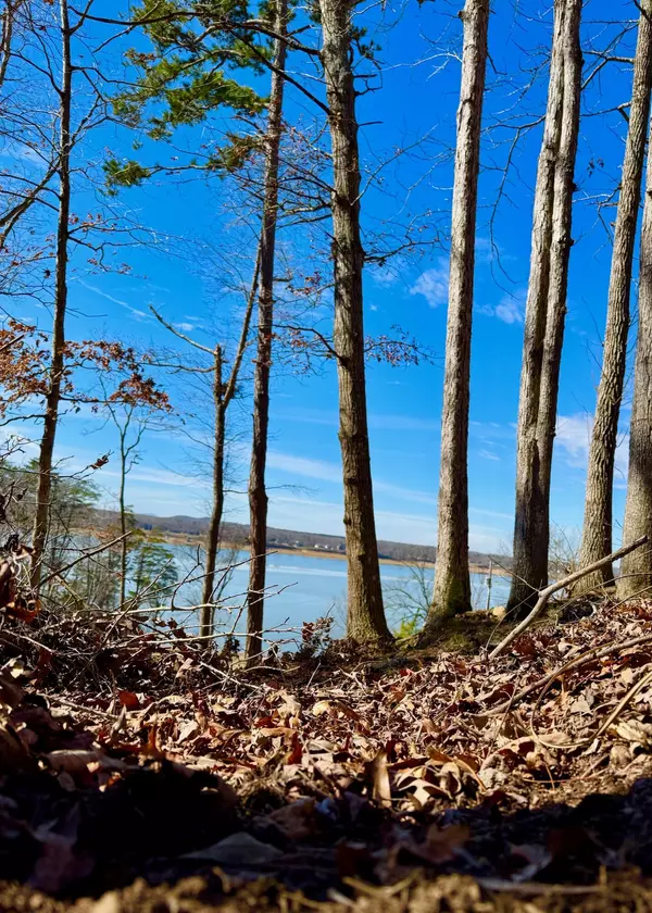 Baneberry, TN 37890,Lot 37 Lake Vista DR