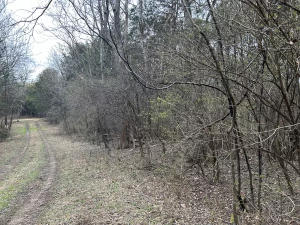 3440 Spring LN W, Baneberry, TN 37890