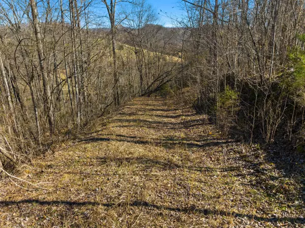 Tazewell, TN 37879,TBD Cave Springs RD