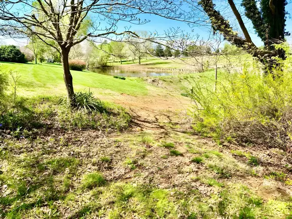 Baneberry, TN 37890,Lot 2516R St Andrews RD