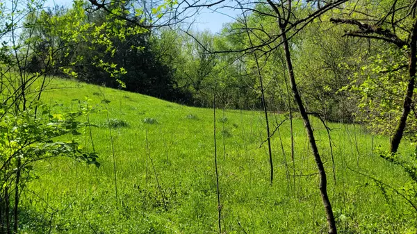 New Market, TN 37820,1909 Buck Hollow RD