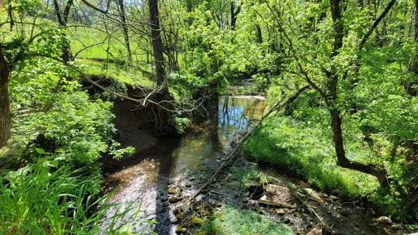 New Market, TN 37820,1909 Buck Hollow RD