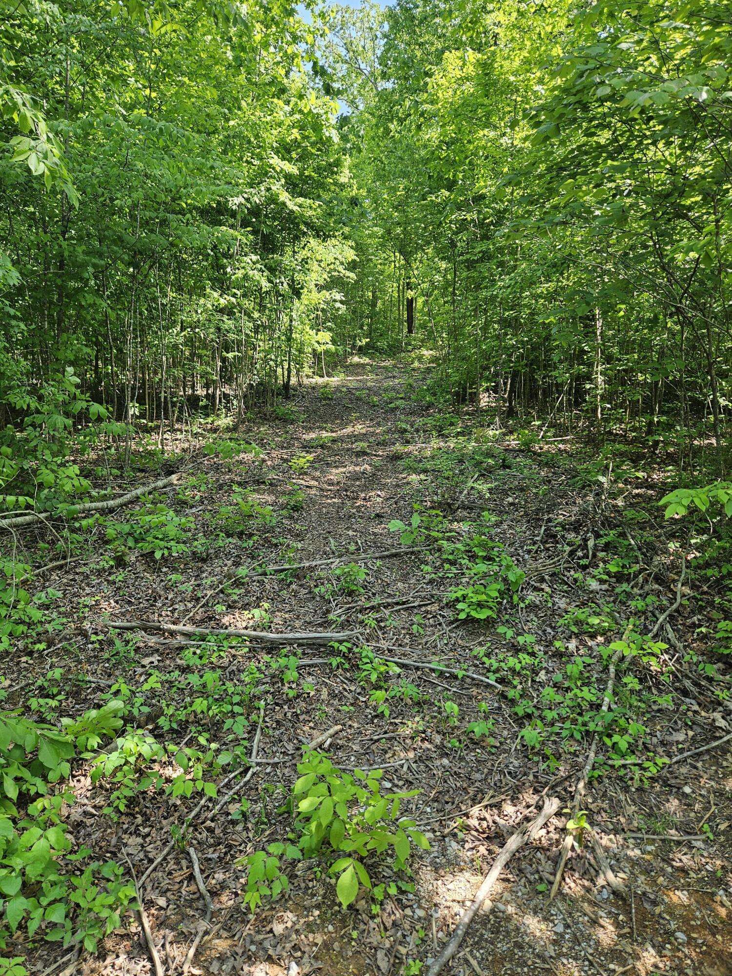 White Pine, TN 37890,0.93 Acre Nina RD