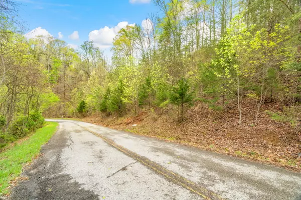 Sharps Chapel, TN 37866,Lot 736 Russell Brothers RD
