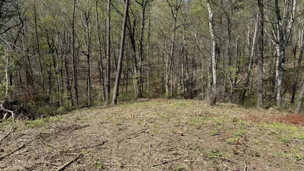 Bean Station, TN 37708,475 Bayside BLVD