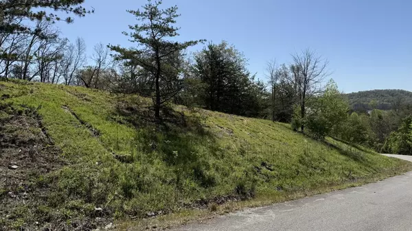 Bean Station, TN 37708,Lot 52 Bayside BLVD