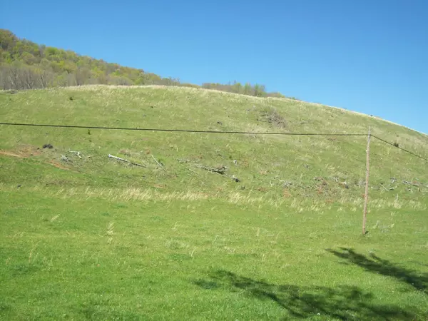 Tazewell, TN 37879,2722 Rebel Hollow Road