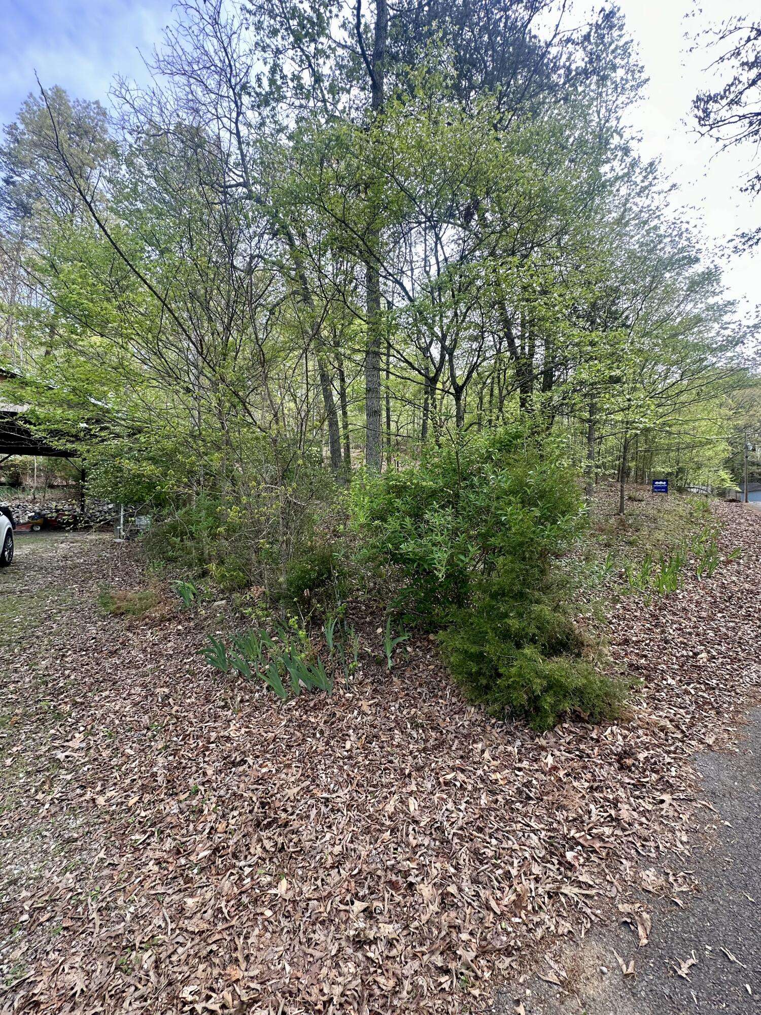 Dandridge, TN 37725,1643 Covington RD