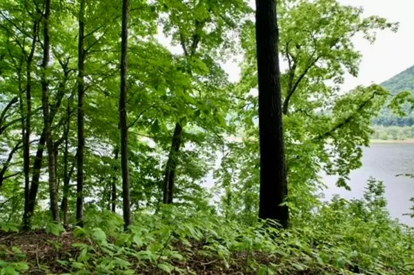 Whitesburg, TN 37891,Lot 35 Five Oaks CIR