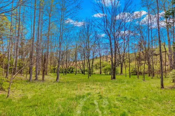 00 Joe Stephens RD, Morristown, TN 37814