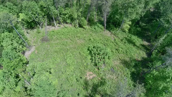 Dandridge, TN 37725,Lot 10 Antler Ridge
