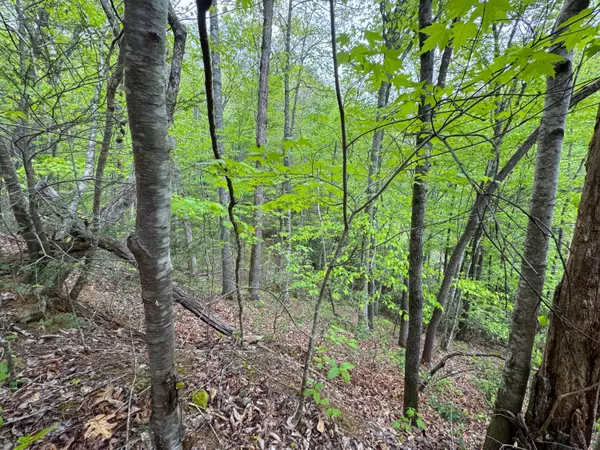 Del Rio, TN 37727,376 Summer House Hollow RD