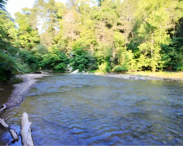 217 Saw Mill LN, Duff, TN 37729