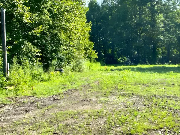 Duff, TN 37729,217 Saw Mill LN