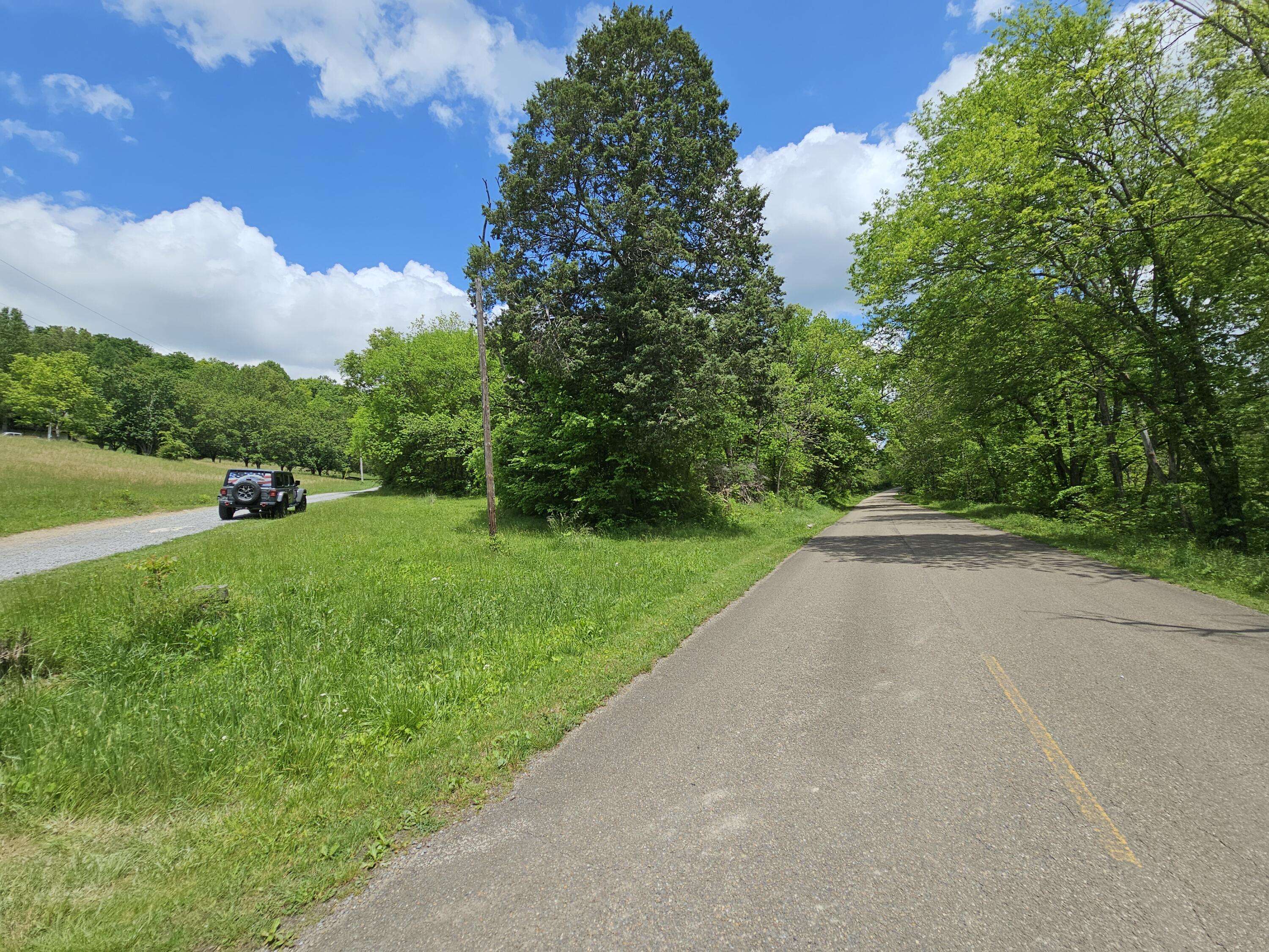 Parrottsville, TN 37843,0 LONG CREEK RD