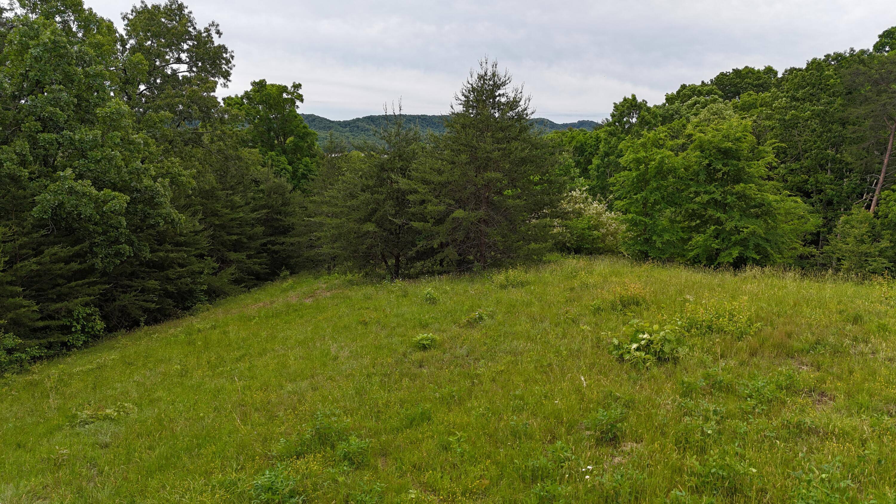 Bean Station, TN 37708,Lot 53 Bayside BLVD