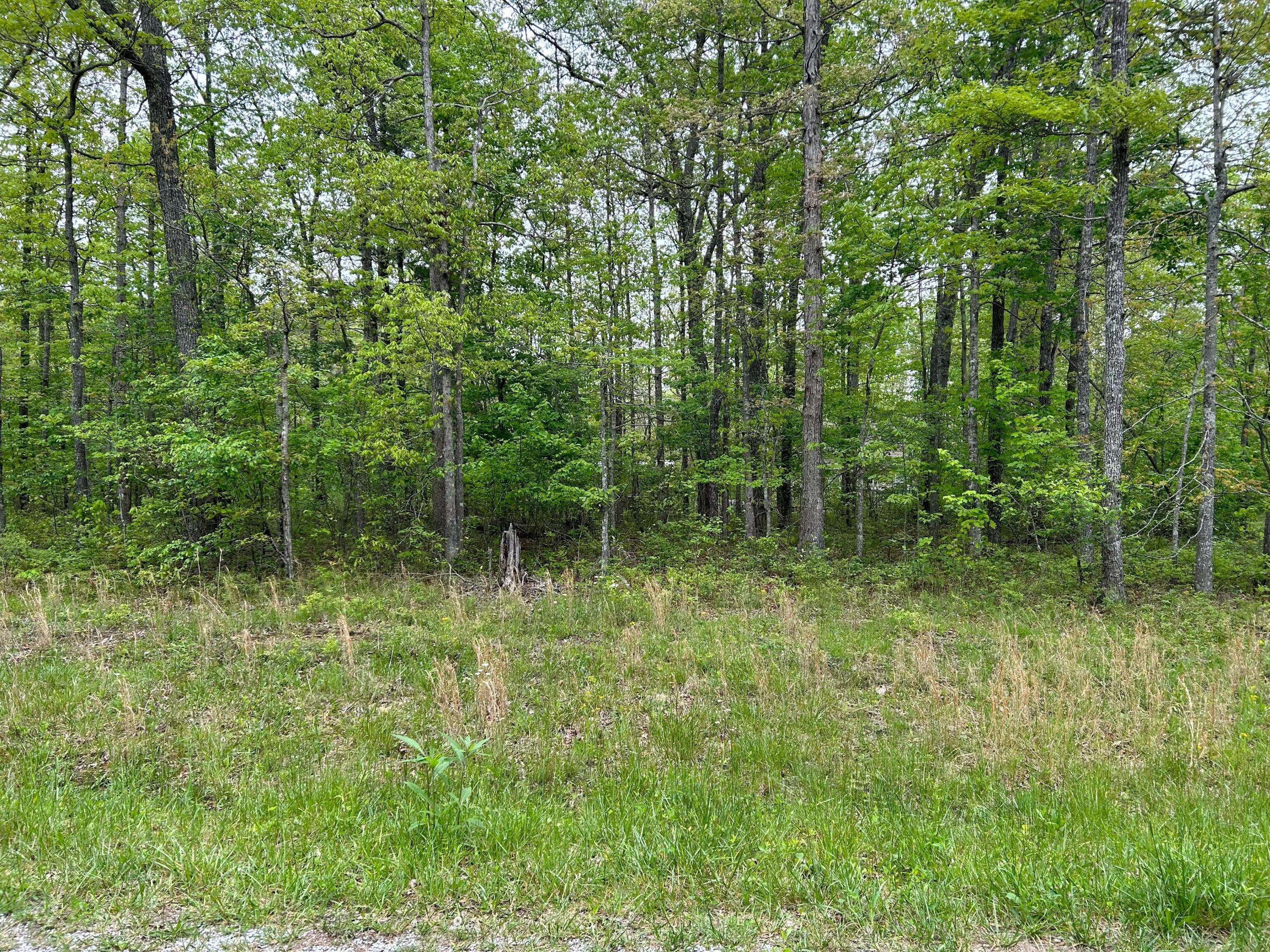 107 Calusa Lane, Crossville, TN 38572