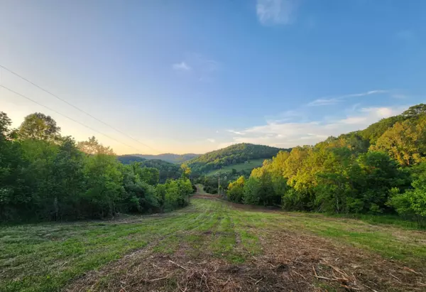 Eidson, TN 37731,1250 Clinch Mountain RD