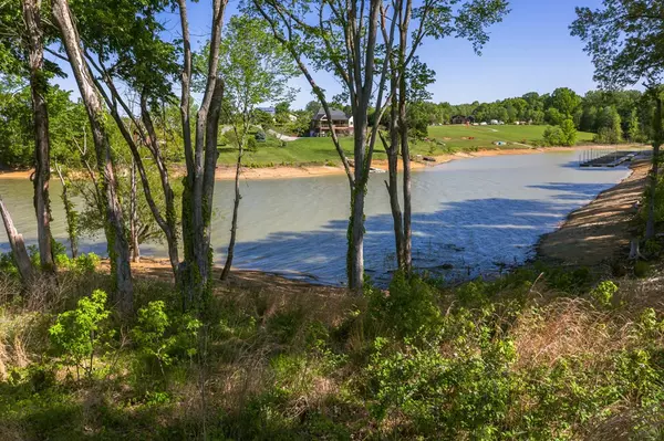 Baneberry, TN 37890,Lot 40 English Mountain PT