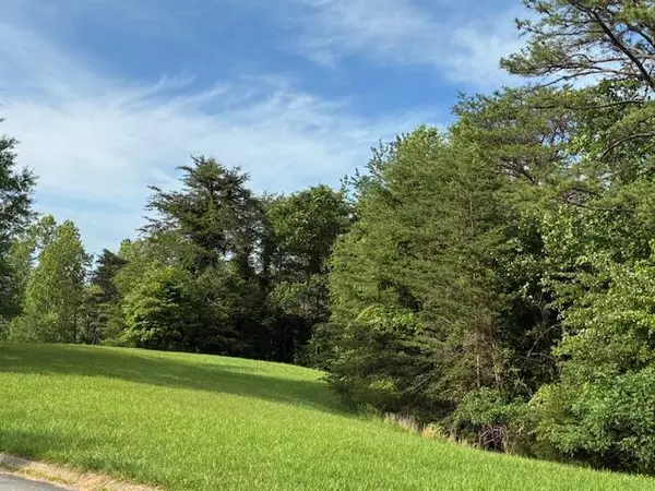 Dandridge, TN 37725,Lot 17 Waterstone DR