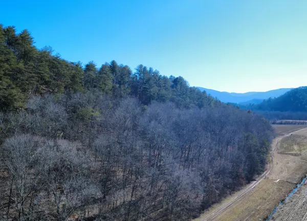 Del Rio, TN 37727,2720 Hwy 25-70