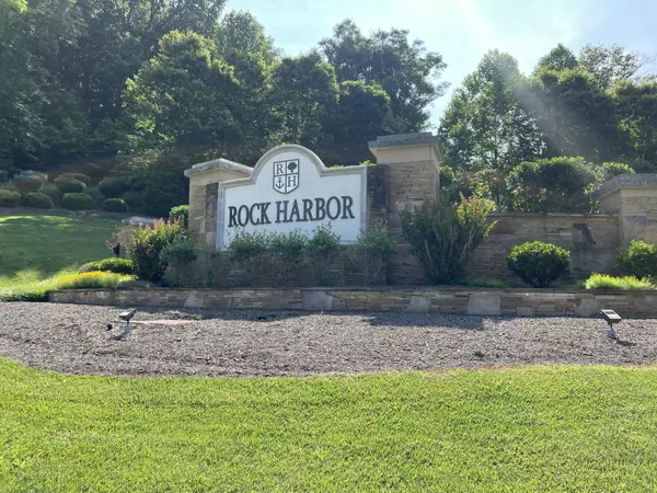 New Tazewell, TN 37825,Lot 240 Tanzanite TRL