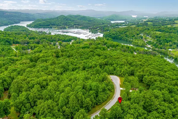New Tazewell, TN 37825,Lot 240 Tanzanite TRL