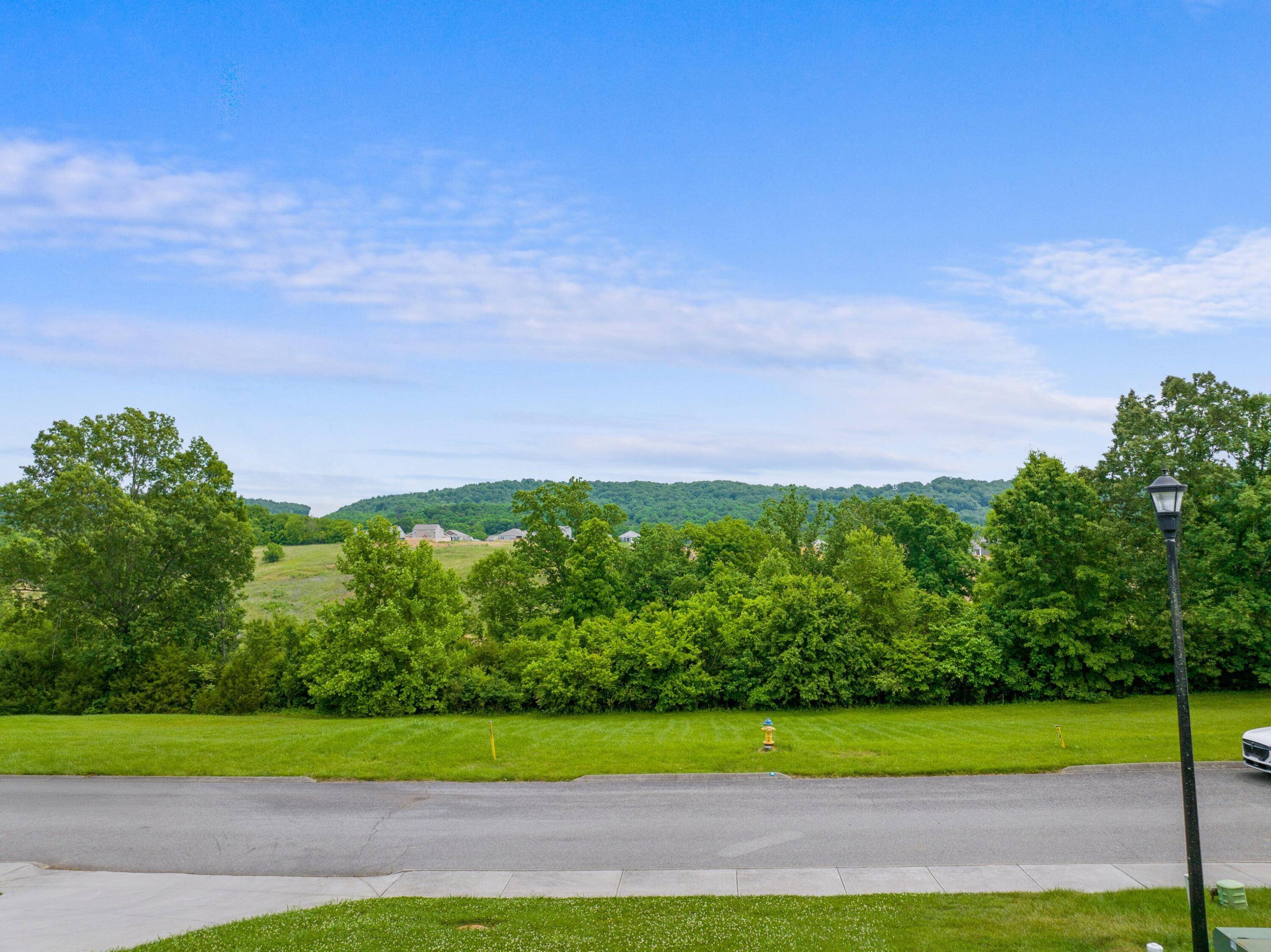 Dandridge, TN 37725,1046 Patriot Landing DR