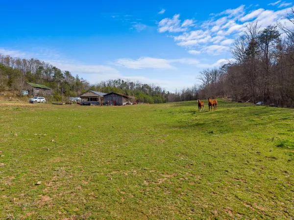 Kyles Ford, TN 37765,3810 kyles ford HWY