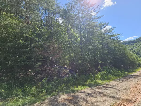 Del Rio, TN 37727,Lot 7 Blackfeet Way