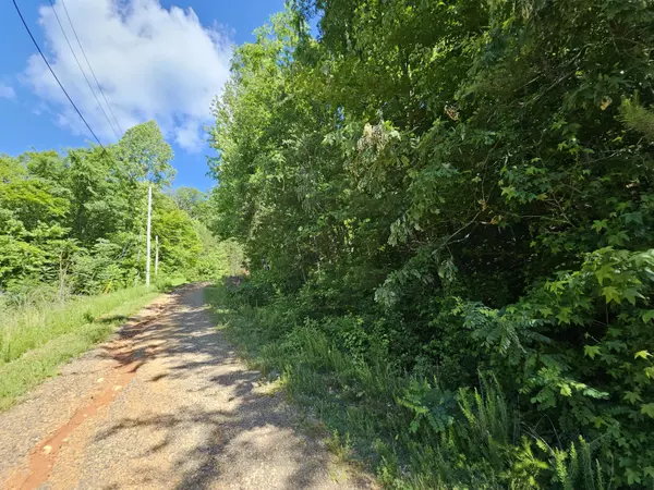 Del Rio, TN 37727,Lot 7 Blackfeet Way