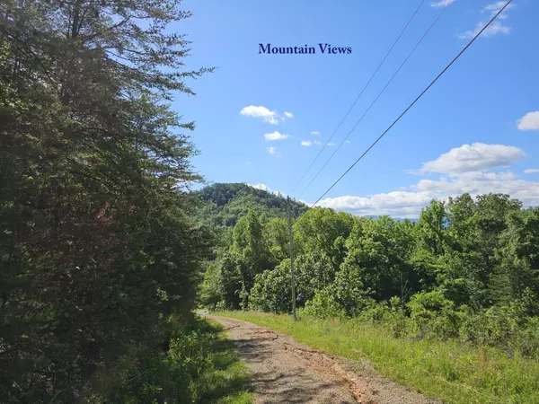 Del Rio, TN 37727,Lot 7 Blackfeet Way