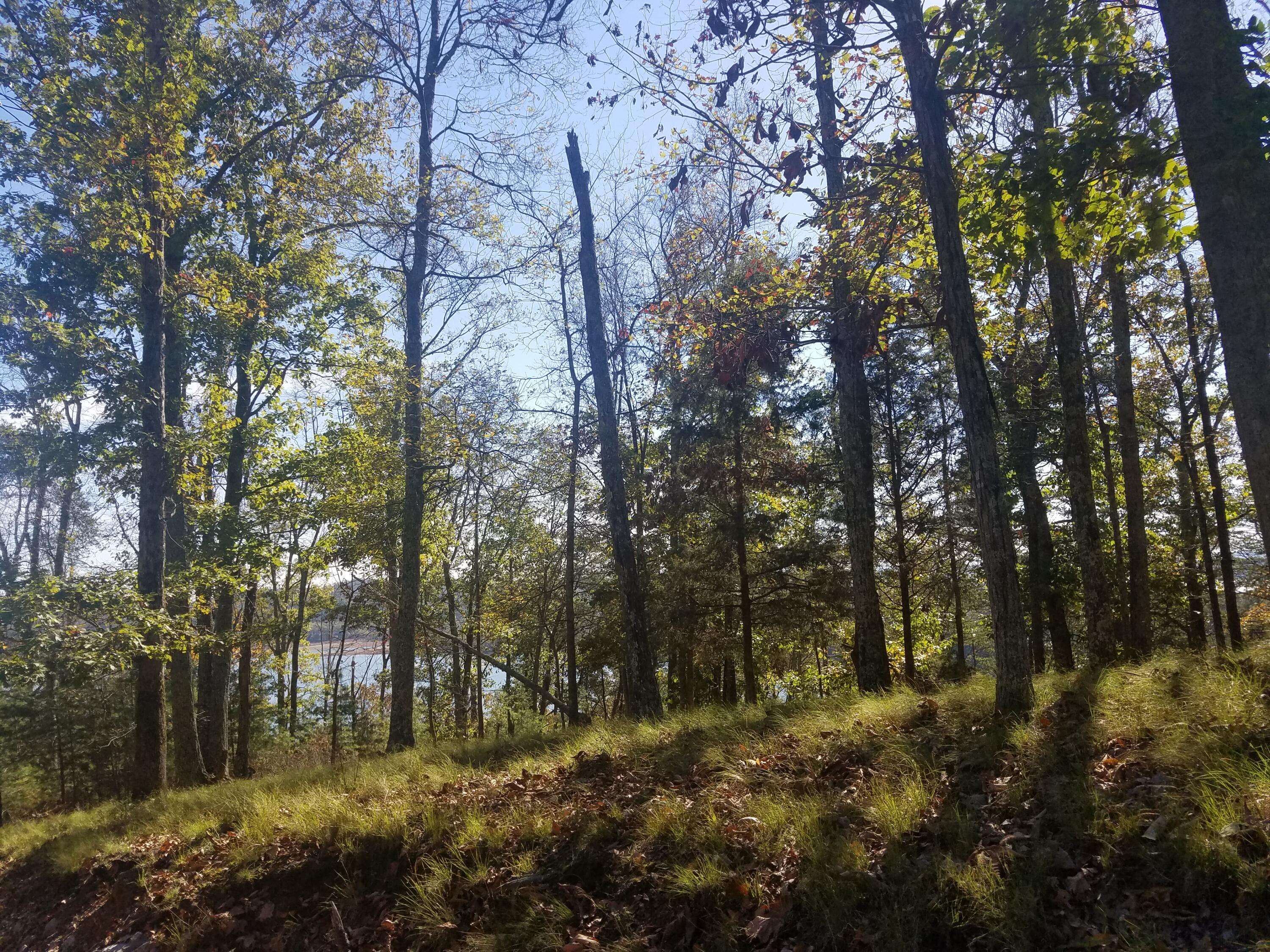 Mooresburg, TN 37811,607 Lakeview DR