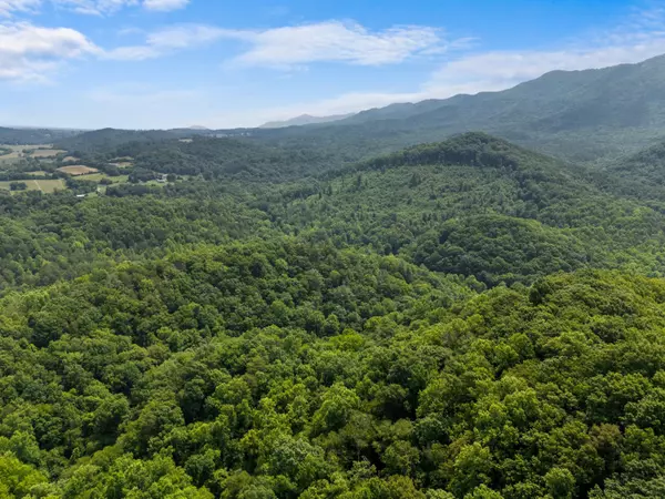 Del Rio, TN 37727,000 Long Creek RD