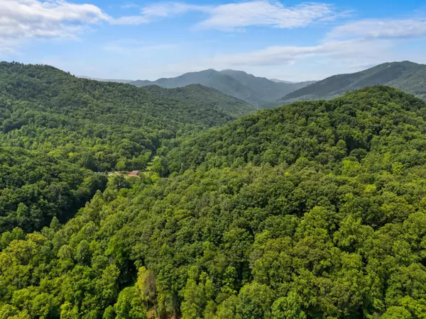 Del Rio, TN 37727,000 Long Creek RD